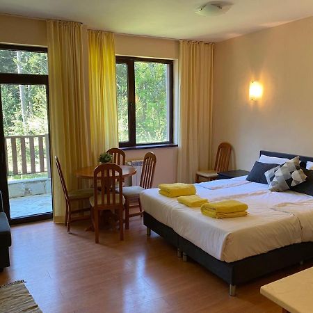 Flora Ski-Slope Studio Apartment Borovets Dış mekan fotoğraf