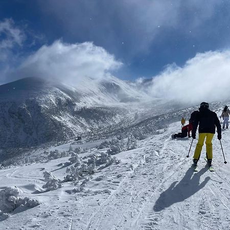 Flora Ski-Slope Studio Apartment Borovets Dış mekan fotoğraf