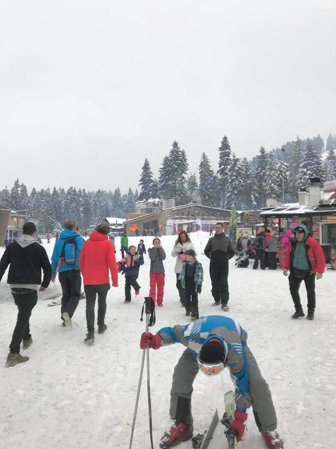 Flora Ski-Slope Studio Apartment Borovets Dış mekan fotoğraf