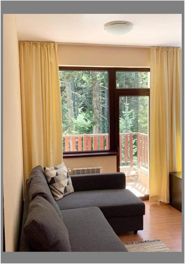 Flora Ski-Slope Studio Apartment Borovets Dış mekan fotoğraf