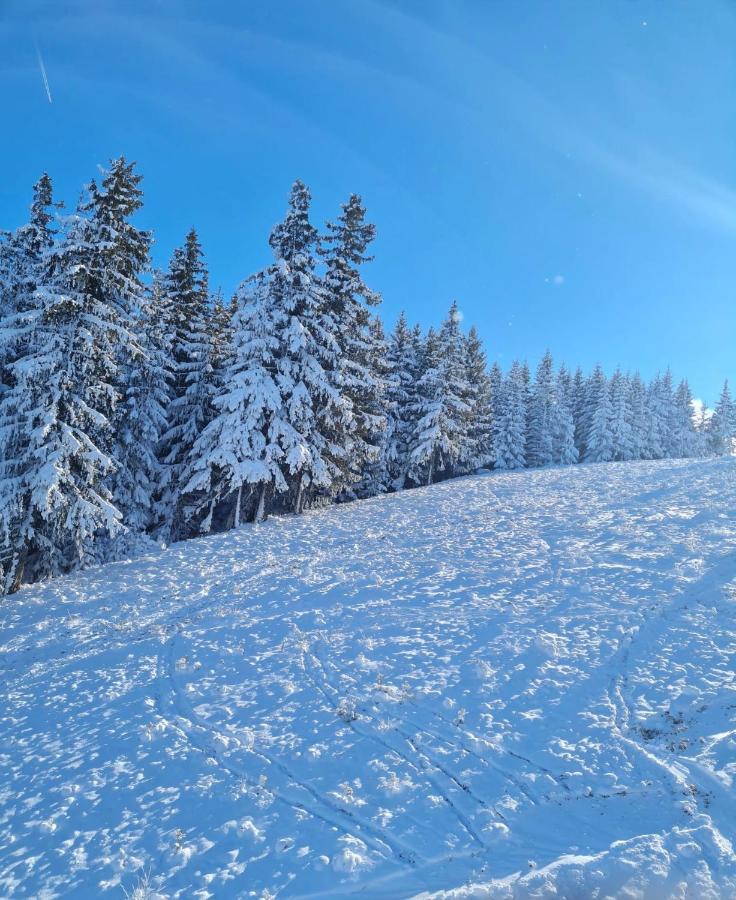 Flora Ski-Slope Studio Apartment Borovets Dış mekan fotoğraf