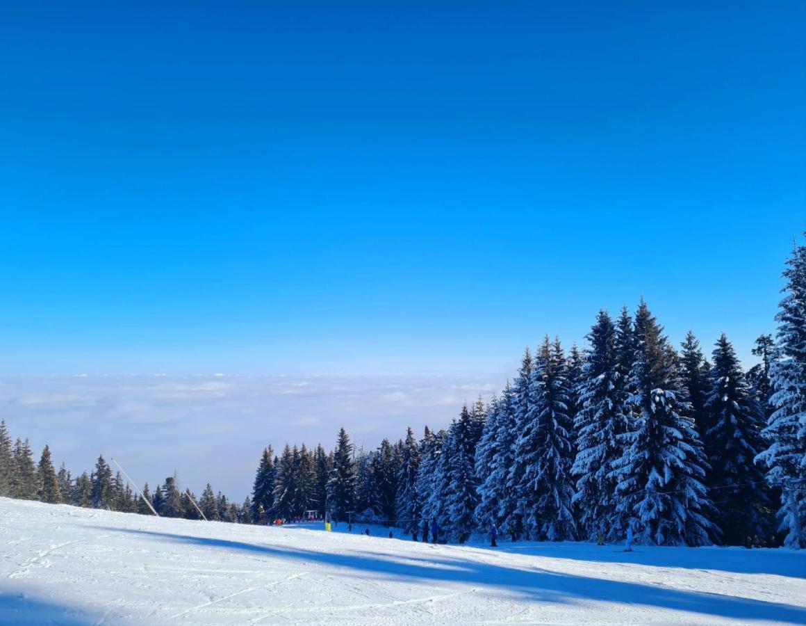 Flora Ski-Slope Studio Apartment Borovets Dış mekan fotoğraf