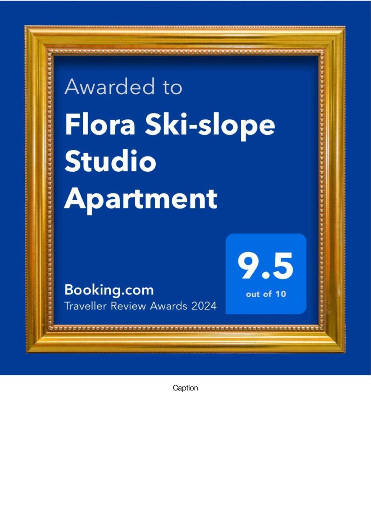 Flora Ski-Slope Studio Apartment Borovets Dış mekan fotoğraf