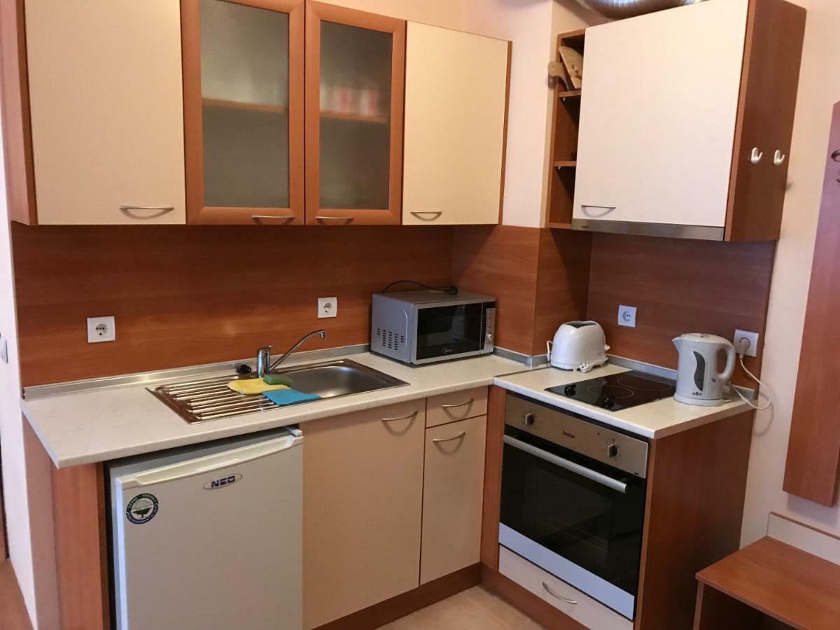 Flora Ski-Slope Studio Apartment Borovets Dış mekan fotoğraf