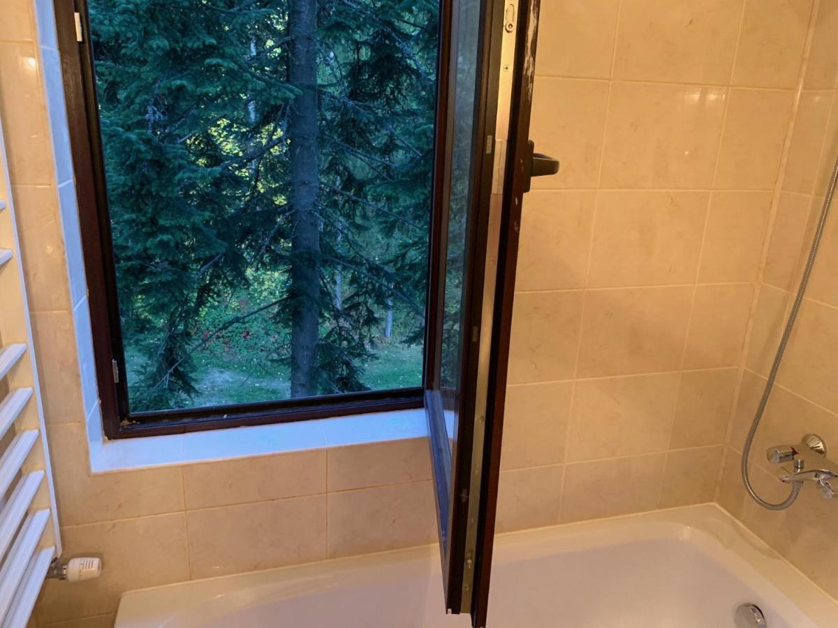 Flora Ski-Slope Studio Apartment Borovets Dış mekan fotoğraf